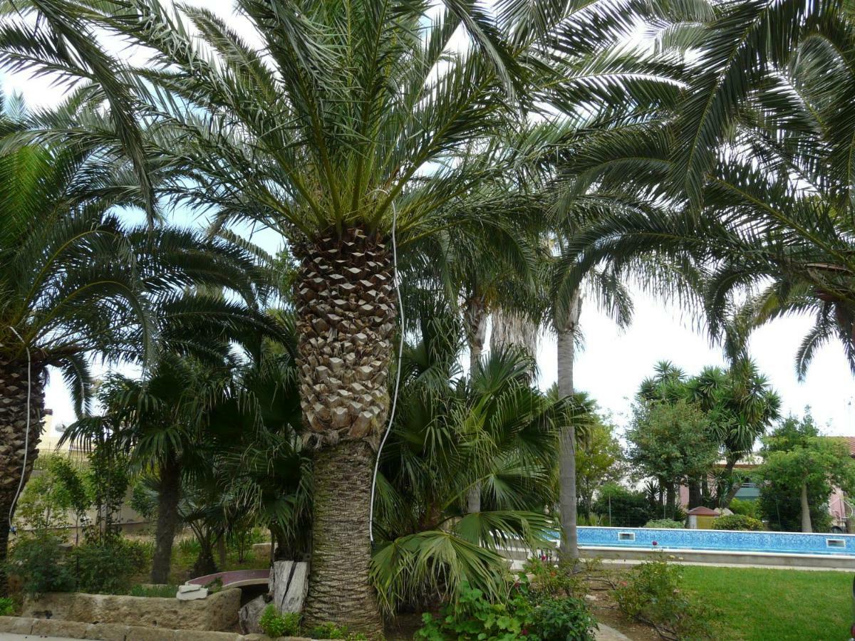 Villa Yucca Avola Extérieur photo