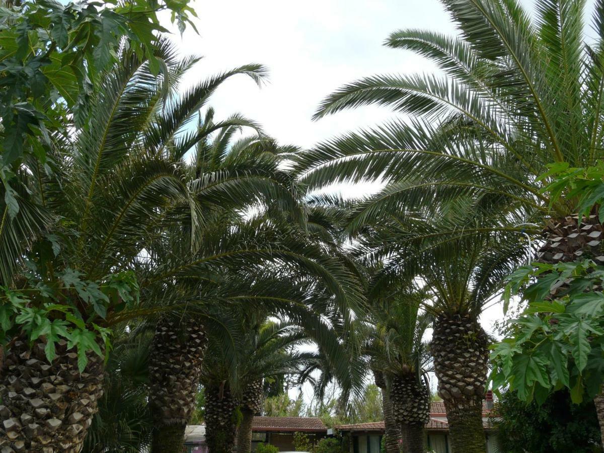 Villa Yucca Avola Extérieur photo