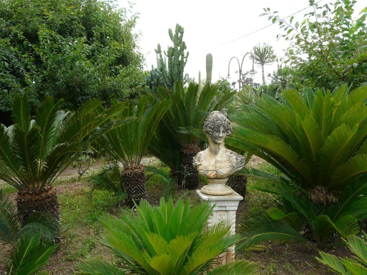 Villa Yucca Avola Extérieur photo