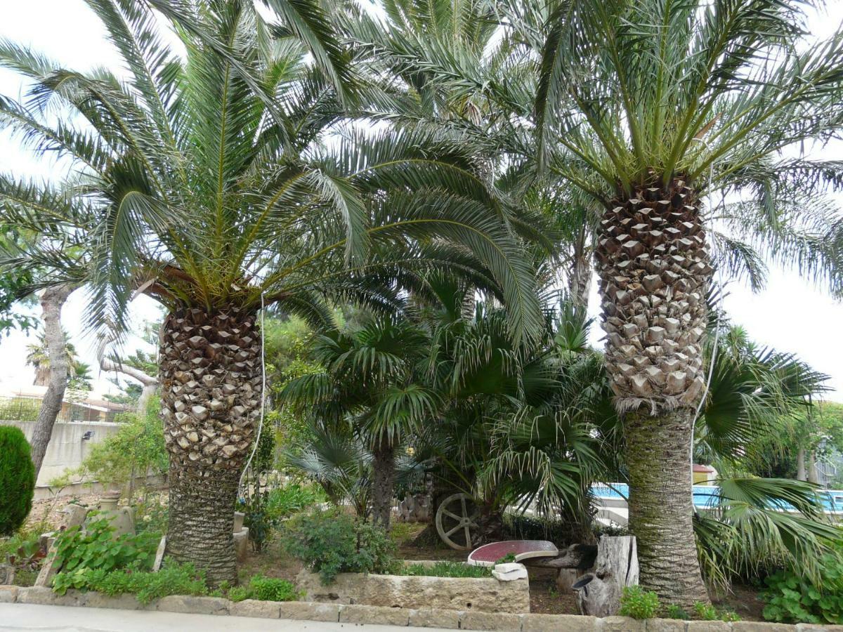 Villa Yucca Avola Extérieur photo